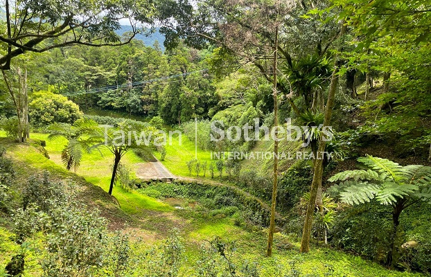 石碇月扇湖山林地現場實景